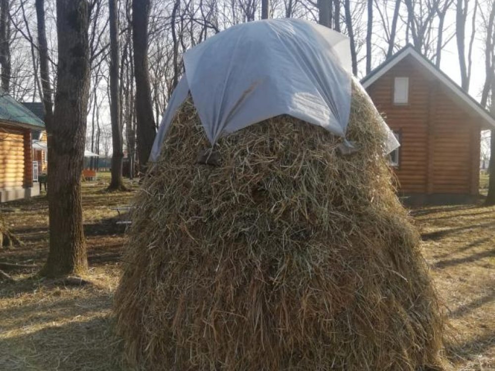 Лето